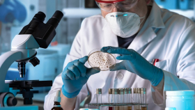 Британские учёные решили дать бой мировому нашествию грибных патогенов